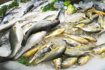 Fresh Fish Chilled In Ice