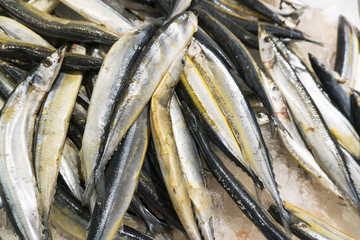 Fototapeta premium Fresh Fish Chilled In Ice