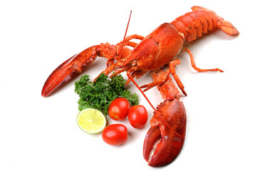 Boiled Lobster