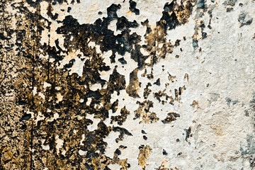 grungy wall Great textures for your design
