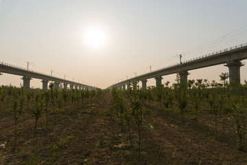 Sunrise on the viaduct