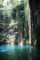 Tropische Cenote in Mexiko