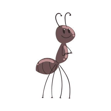 Cute cartoon ant character vector Illustration