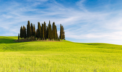 SAN QUIRICO D'ORCIA, TUSCANY ITALY with rolling hills and tuscan cypress trees. Located in Val...