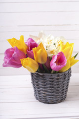 Pink, yellow  and white spring tulips  and daffodils flowers in grey bucket