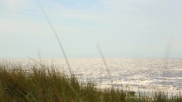 Beach in Zandvoort, Netherlands.