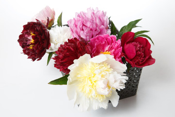 Bouquet of peonies in a basket isolated on white background.