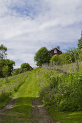 Traditional red, white wooden house in the village, Norway