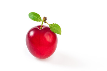 Ripe tasty red plum with leaf, isolated on white