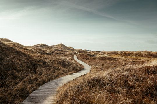 Blick zum Quermarkenfeuer auf der Insel Amrum, Deutschland