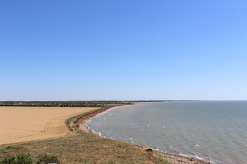 A field of ripe bread near the sea shore