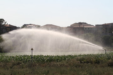 Irrigation of the field - drought - agriculture