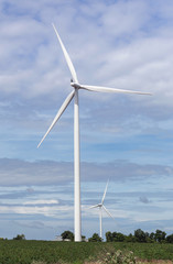 white wind turbines generating electricity in wind power station under blue sky background        