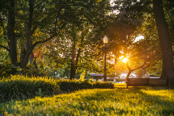 Atardecer en el parque / Sunset at park © Conmisojos