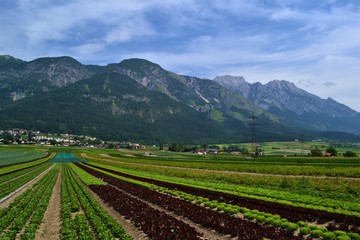 Fototapeta na wymiar Berglandschaft mit Feldern