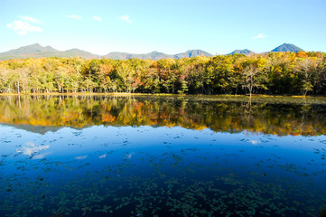 Obraz premium 北海道・秋の知床五湖