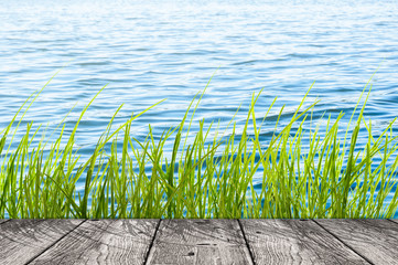 holz steg am wasser mit ufergras