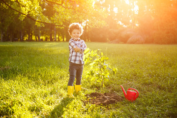 Adorable boy proud with planting tree