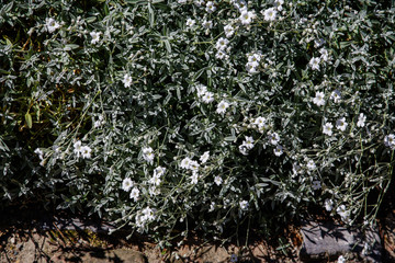 Gerberoy - Plus beau village de France