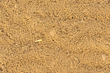 Sand beach background