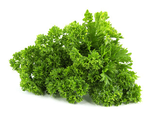 parsley bunch isolated on white background