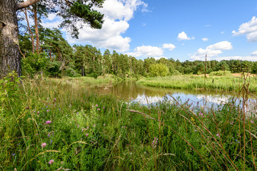 reflection of clouds in the lake