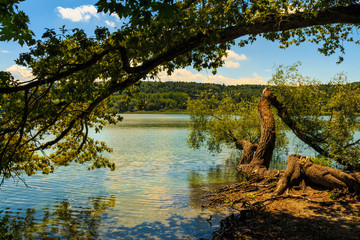 Fototapeta premium Bodensee Insel Mainau