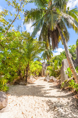sentier d'Anse Source d'Argent, la Digue, les Seychelles 