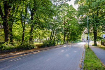 Fototapeta premium empty road in the city