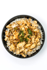 Rice and chicken on white plate