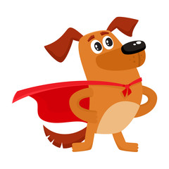 Cute brown funny dog, puppy character in red cape standing as hero, superhero, cartoon vector illustration isolated on white background. Funny dog, puppy character in hero, superhero red cape