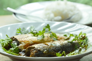 boiled mackerel fish sauce soup topping parsley eat couple with rice
