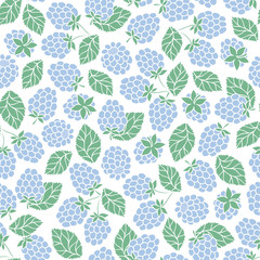 Seamless Pattern of Blackberry