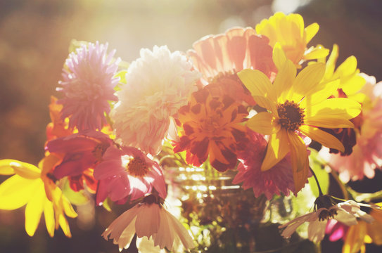Bunch of colorful flowers in soft sun lights