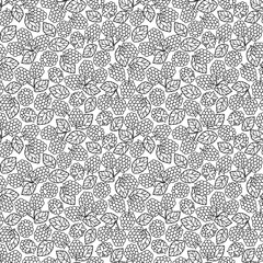 raspberry blackberry with leaves seamless pettern