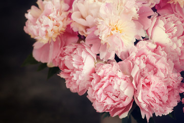 Fresh bunch of pink and white peonies, peony roses flowers