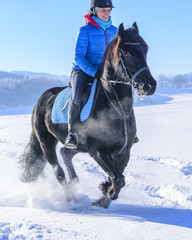 Ross und Reiterin haben Spass im Schnee