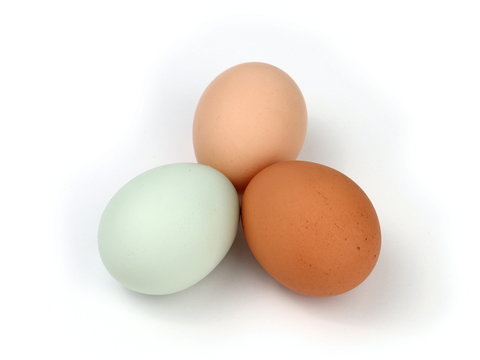 Three Multicolored Organic Free Range Chicken Eggs