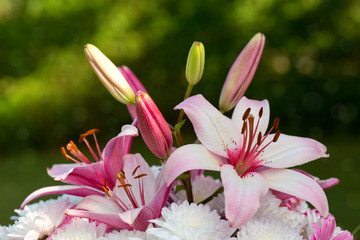 Colorful flowers bouquet isolated.