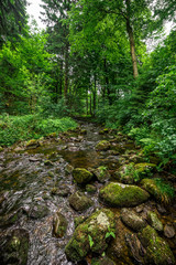 Ein Bach im Harz 