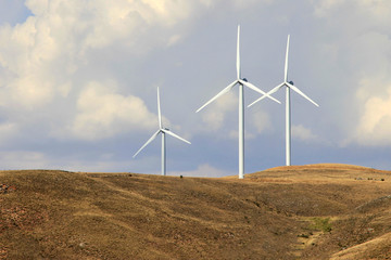 Wind generator on grass hill