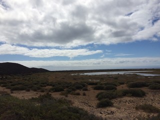 fuerteventura