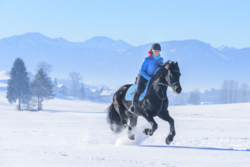 Workout für's Pferd im Winter