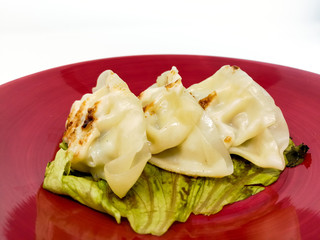 Chinese food Fried dumplings on plate