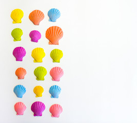 Composition of colored exotic sea shells on a white background. The view from the top. Place for your text.