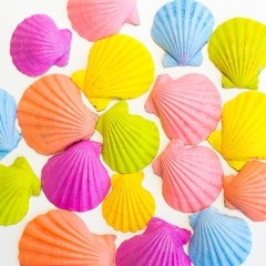 Composition of colored exotic sea shells on a white background. The view from the top. Place for your text.