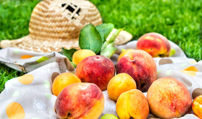 Apricots and peaches with a tablecloth and straw hat. Fruit on green fresh grass in the garden.