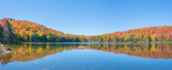 Naklejka premium An Enchanting Pond With Fall Foliage 
