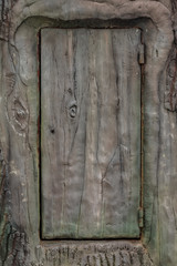 Wooden door with an old texture