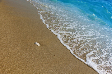 Sand on the beach and sea foam